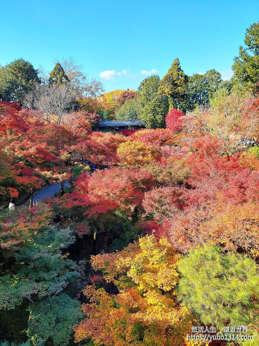 東福寺楓葉夜楓賞楓 交通門票 京都高人氣第一名絕美賞楓景點 ! - 第15張圖 東福寺楓葉 東福寺賞楓