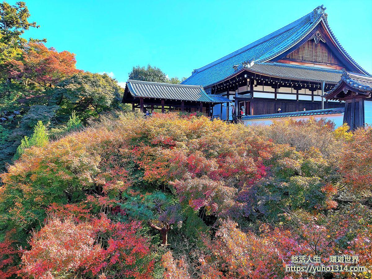 東福寺楓葉夜楓賞楓 交通門票 京都高人氣第一名絕美賞楓景點 ! - 第17張圖