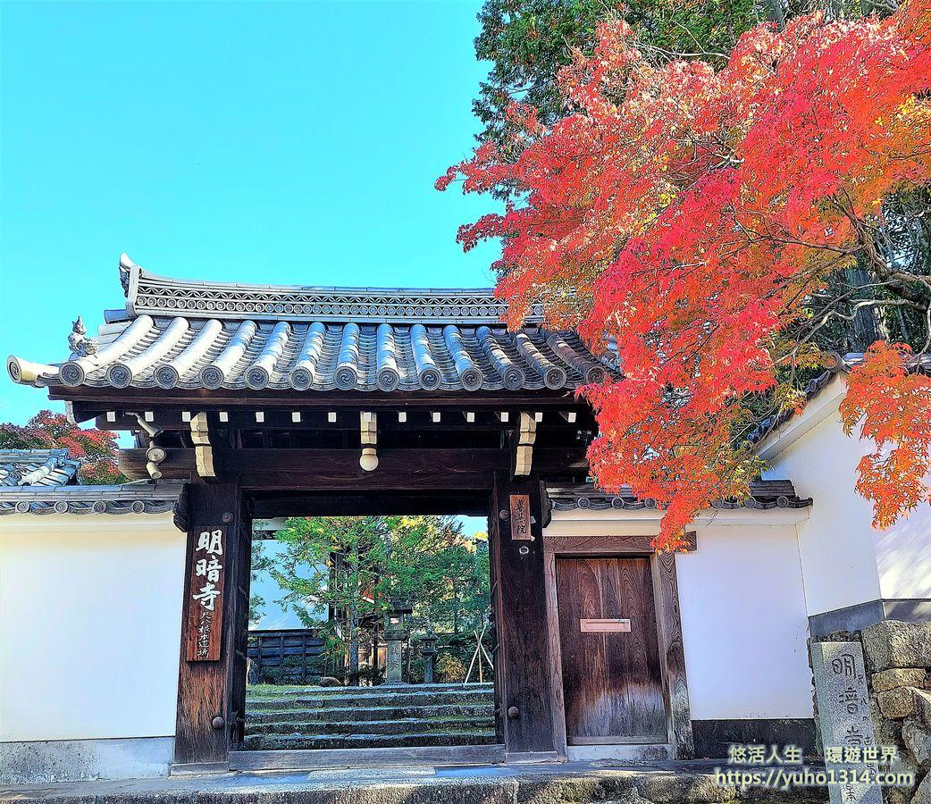 東福寺楓葉夜楓賞楓 交通門票 京都高人氣第一名絕美賞楓景點 ! - 第2張圖