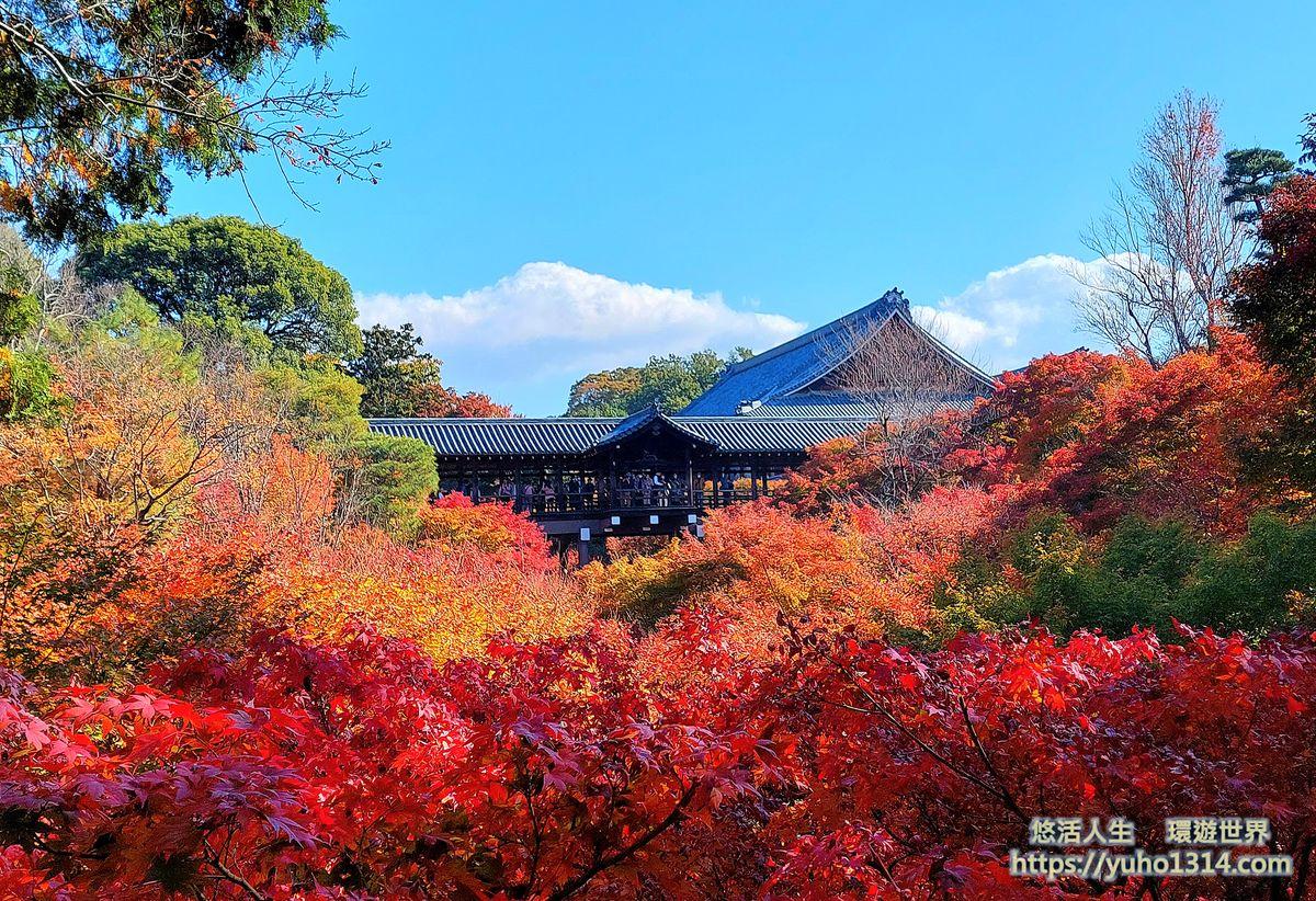 東福寺楓葉夜楓賞楓 交通門票 京都高人氣第一名絕美賞楓景點 ! - 第4張圖 東福寺楓葉 東福寺夜楓 東福寺賞楓 東福寺紅葉 東福寺交通 東福寺門票