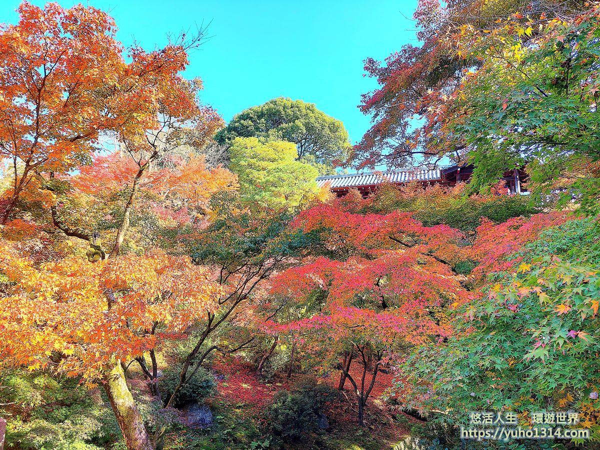東福寺楓葉夜楓賞楓 交通門票 京都高人氣第一名絕美賞楓景點 ! - 第6張圖
