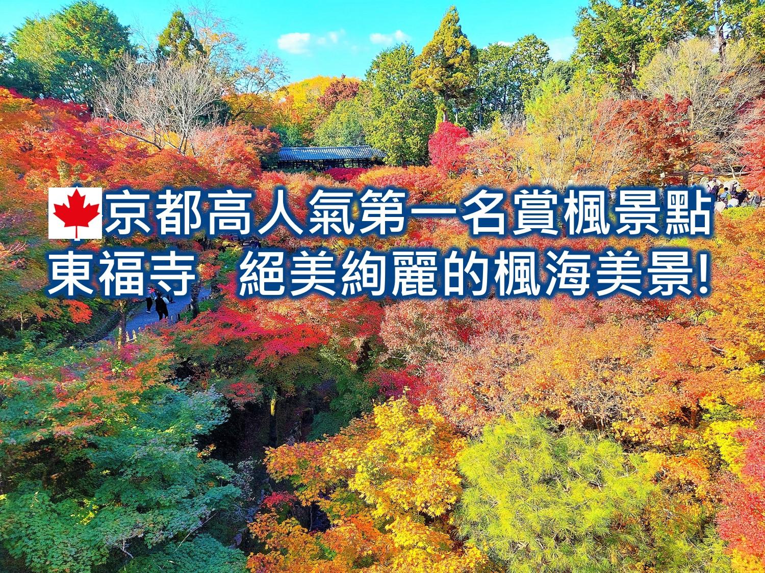 京都高人氣第一名賞楓景點東福寺 絕美絢麗的楓海美景!