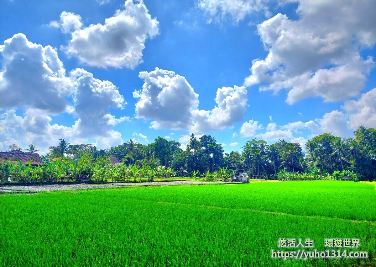 峇里島烏布景點推薦 烏布自由行3種獨特且美麗又免費的旅行方式!Ubud - 第50張圖