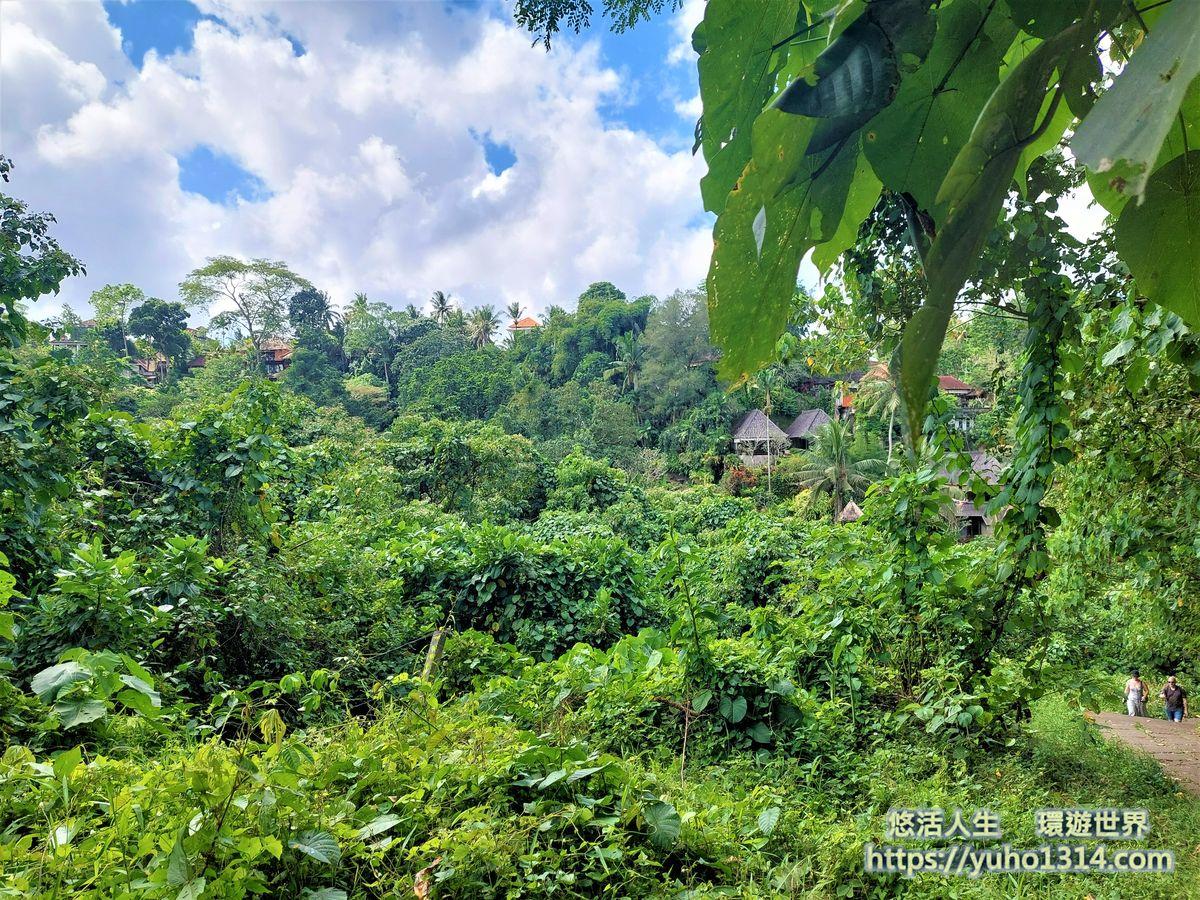 峇里島烏布景點推薦 烏布自由行3種獨特且美麗又免費的旅行方式!Ubud - 第43張圖