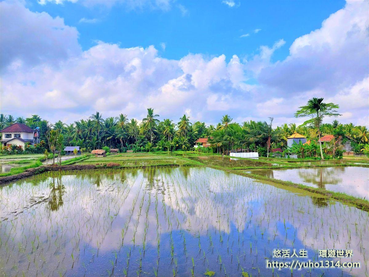 峇里島烏布景點推薦 烏布自由行3種獨特且美麗又免費的旅行方式!Ubud - 第31張圖