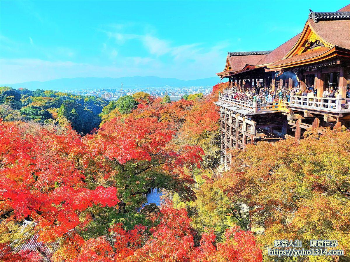 京都賞楓景點 京都楓葉景點  京都夜楓
