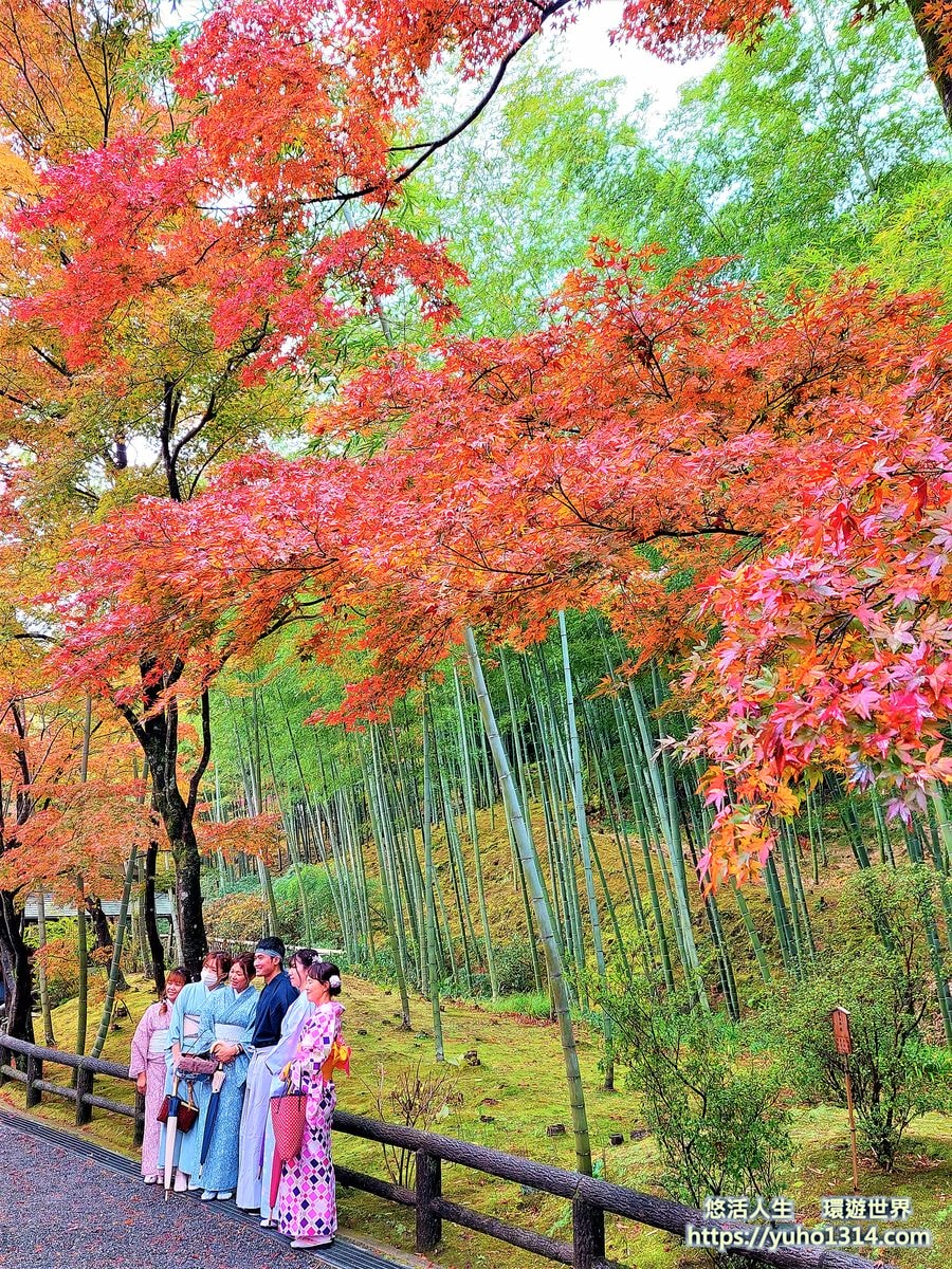 京都賞楓景點 嵐山 天龍寺