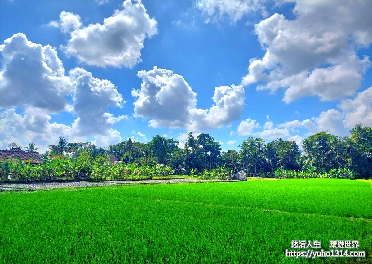巴里島住宿 bali住宿2025❤️峇里島住宿區域推薦20間評價cp高飯店villa度假村 - 第25張圖 峇里島住宿區域 烏布