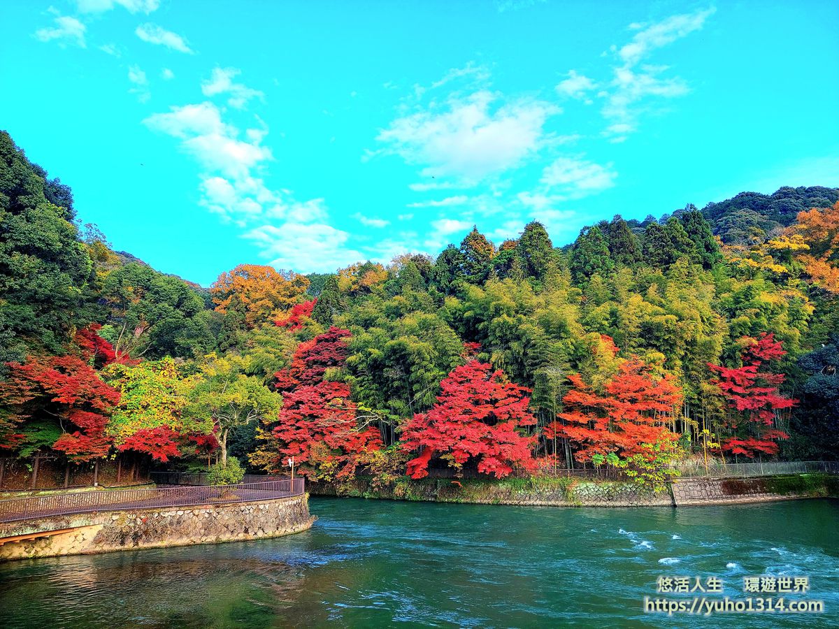 奈良楓葉 宇治楓葉2025🍁嚴選5處宇治奈良賞楓景點紅葉時間預測 - 第12張圖
