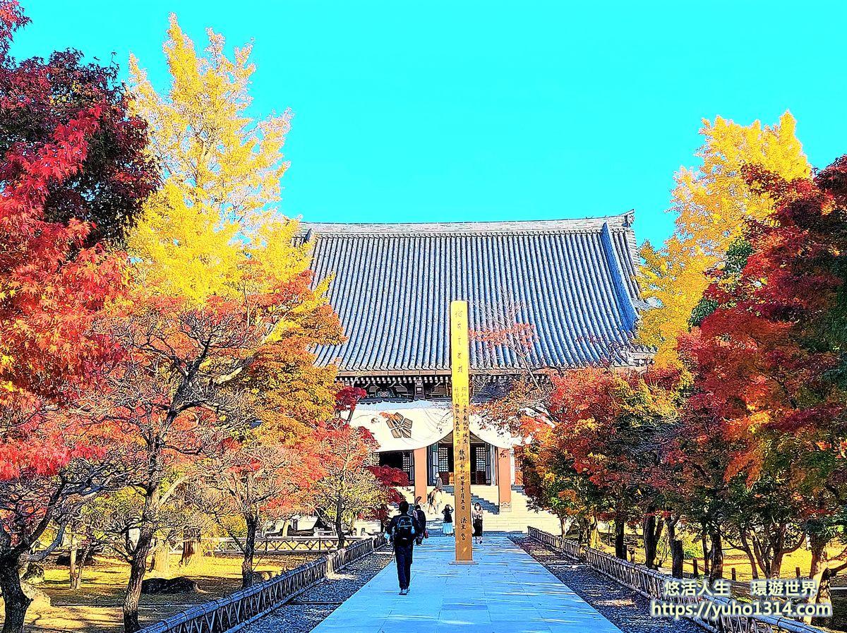 京都賞楓景點  智積院 京都私房景點