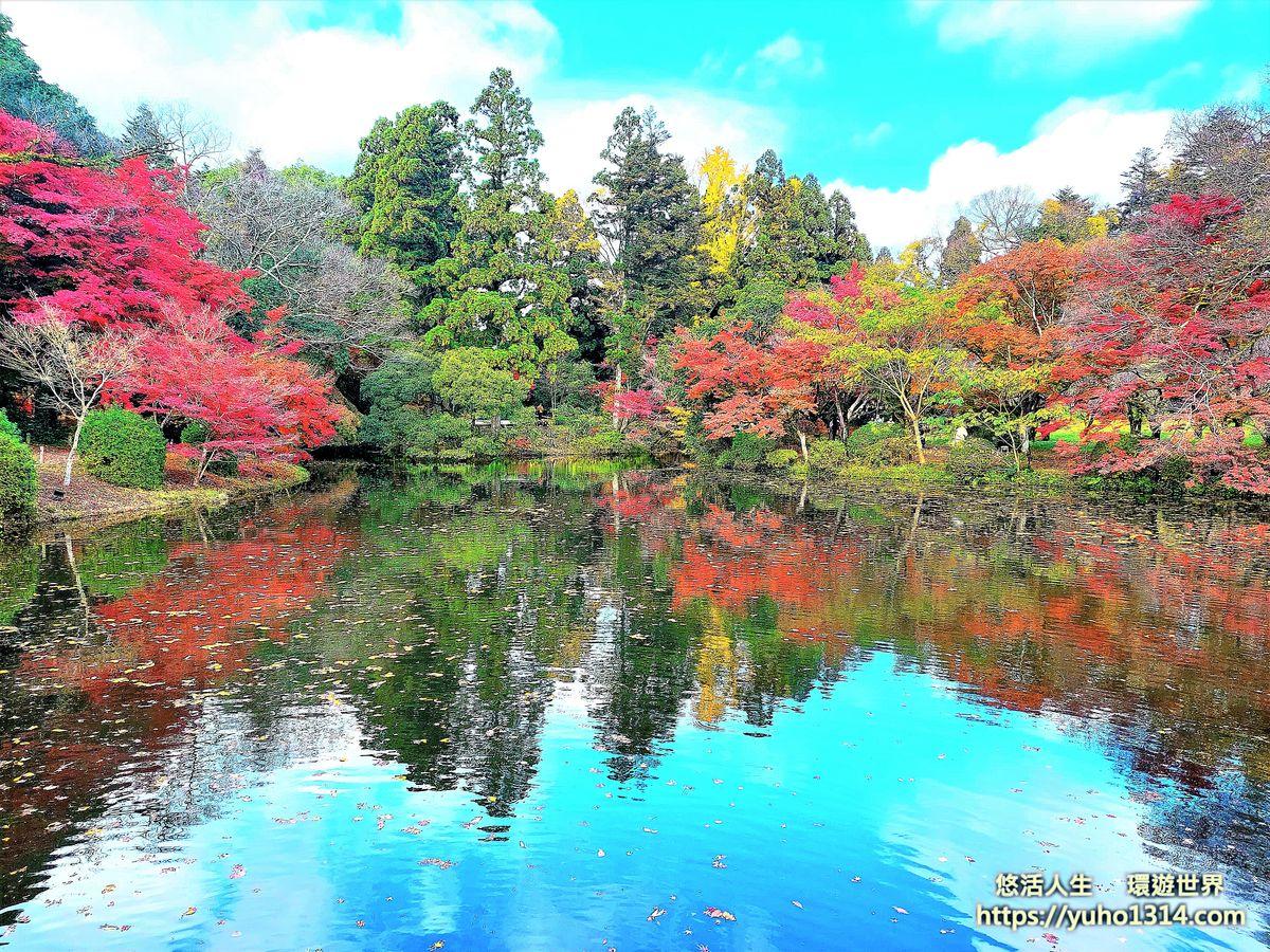 京都賞楓景點  京都府立植物園