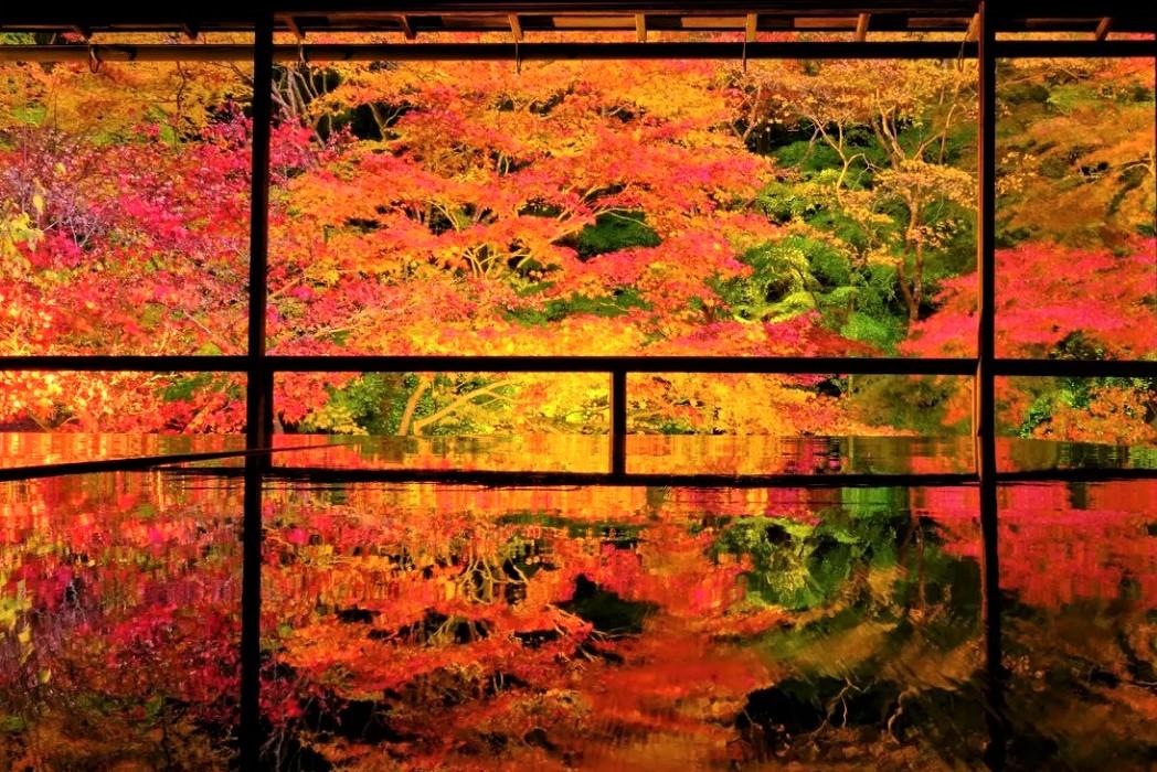 京都賞楓景點  琉璃光院
