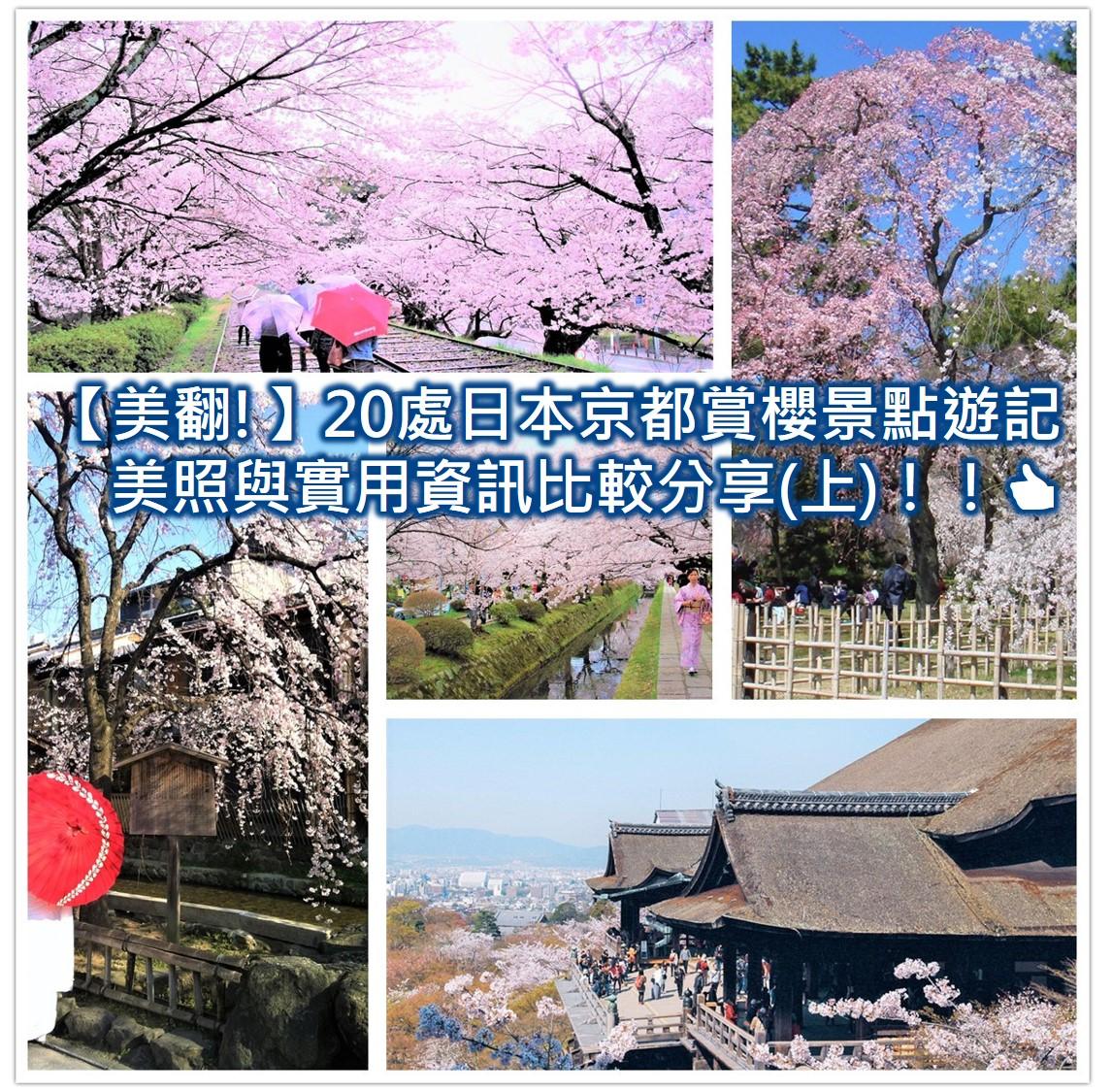 京都櫻花季2025🌸20處日本京都櫻花景點自由行實用資訊分享(下)(含京都賞櫻地圖) - 第123張圖