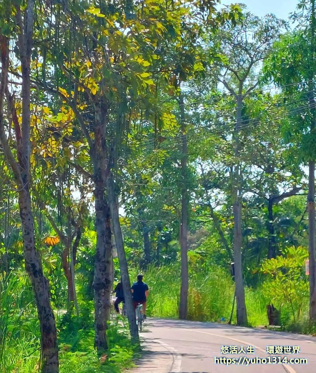 曼谷私房景點2025❤️泰國【曼谷近郊景點/曼谷自然景點/水上市場推薦】獨特有趣「曼谷綠肺」! - 第1張圖 泰國曼谷私房景點(曼谷冷門景點/曼谷自然景點/曼谷近郊景點/曼谷近郊自由行),曼谷深度旅遊 另一種曼谷獨特有趣的旅行方式-前往「曼谷綠肺」旅行