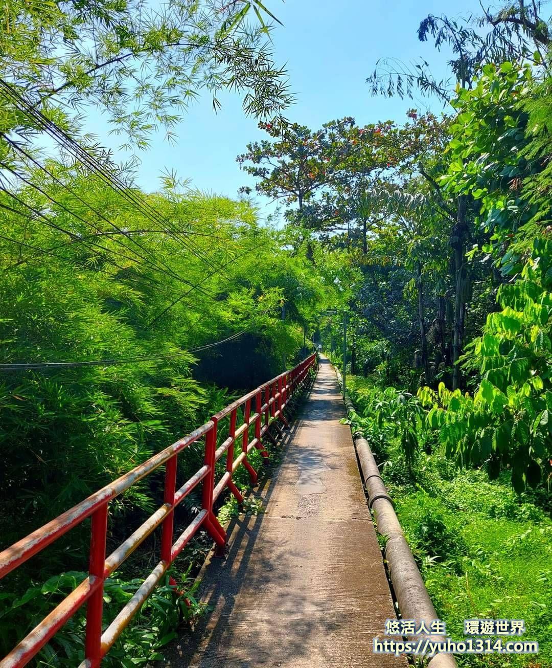 曼谷私房景點2025❤️泰國【曼谷近郊景點/曼谷自然景點/水上市場推薦】獨特有趣「曼谷綠肺」! - 第13張圖