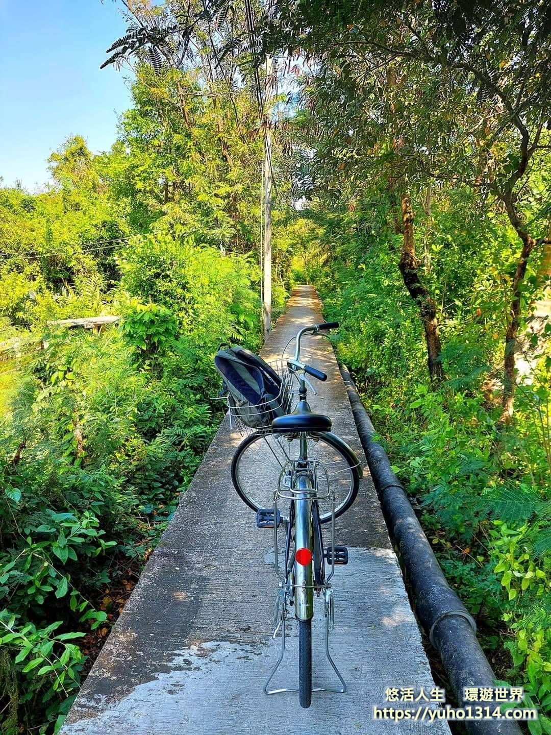 曼谷私房景點2025❤️泰國【曼谷近郊景點/曼谷自然景點/水上市場推薦】獨特有趣「曼谷綠肺」! - 第14張圖 曼谷私房景點 曼谷綠肺