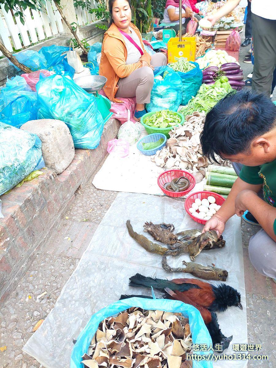 寮國龍坡邦 景點旅遊❤️Luang Prabang交通住宿美食自由行推薦!(含龍坡邦布施) - 第39張圖