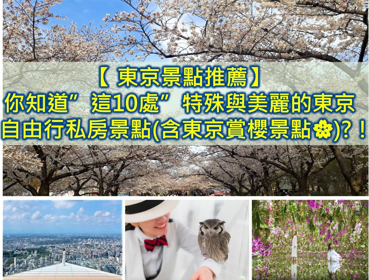 京都櫻花季2025🌸20處日本京都櫻花景點自由行實用資訊分享(下)(含京都賞櫻地圖) - 第126張圖