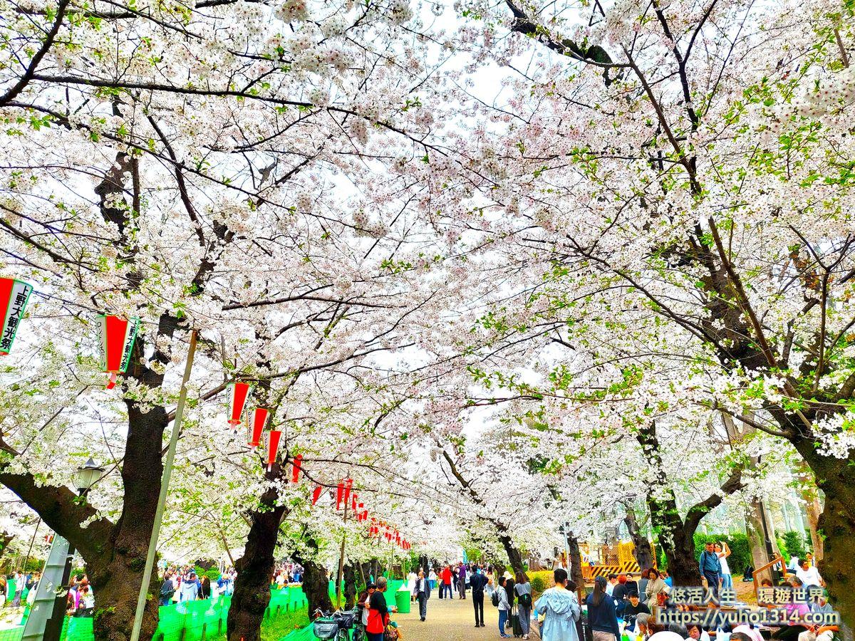 東京私房景點ptt 2025❤️你知道這10處特舒美麗東京私房冷門景點與櫻花景點🌸 - 第10張圖 上野櫻花 上野附近景點