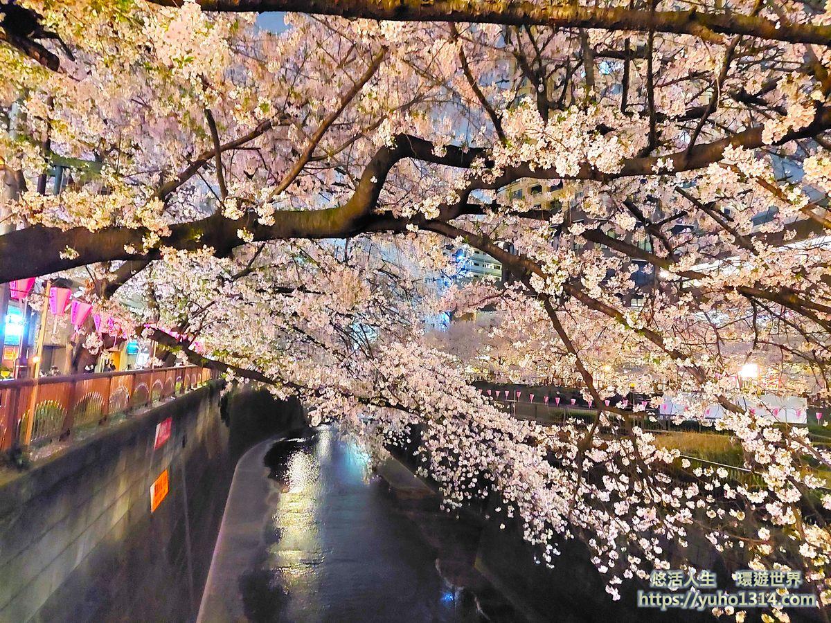 東京私房景點ptt 2025❤️你知道這10處特舒美麗東京私房冷門景點與櫻花景點🌸 - 第32張圖 目黑川櫻花
