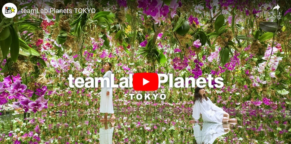 東京私房景點ptt 2025❤️你知道這10處特舒美麗東京私房冷門景點與櫻花景點🌸 - 第55張圖