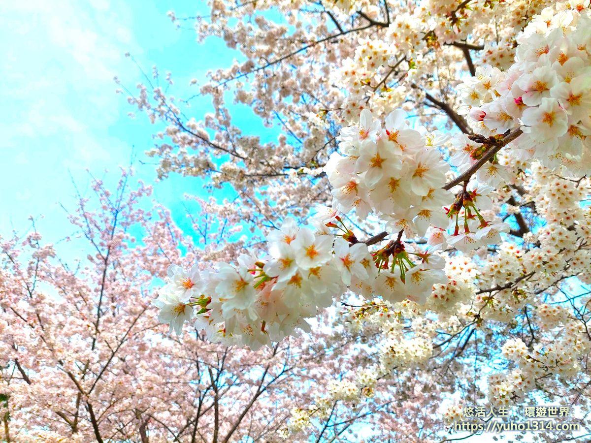 東京平價便宜住宿推薦ptt dcard 2025❤️精選10間2000元上野 新宿 池袋 淺草住宿飯店 - 第2張圖