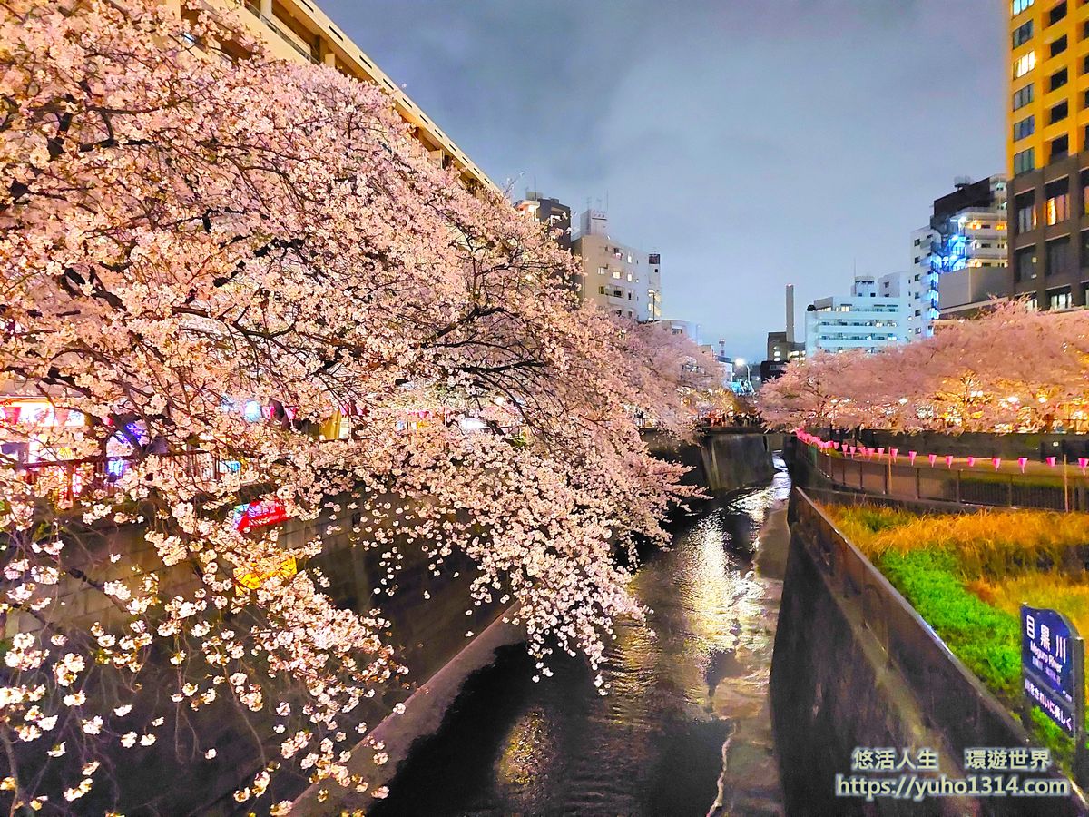 東京私房景點ptt 2025❤️你知道這10處特舒美麗東京私房冷門景點與櫻花景點🌸 - 第31張圖 東京賞櫻景點 目黑川櫻花