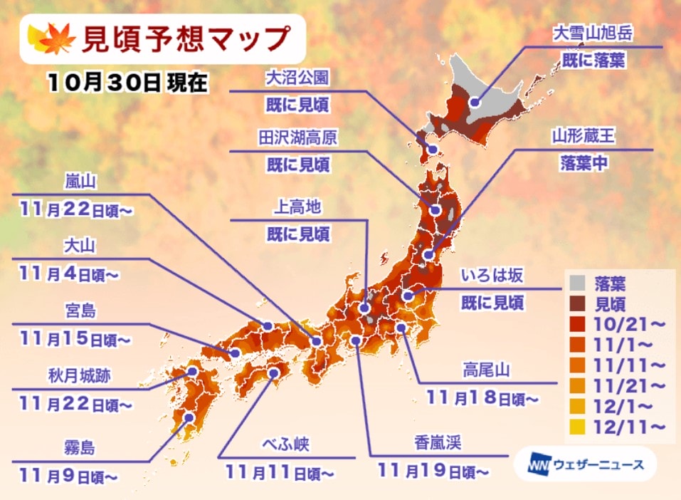 京都紅葉 京都楓葉預測