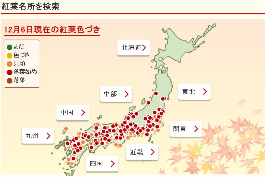 京都紅葉 京都楓葉預測 京都賞楓時間2025 京都楓葉時間2025 京都楓葉2025 京都紅葉2025 京都楓葉景點 京都賞楓