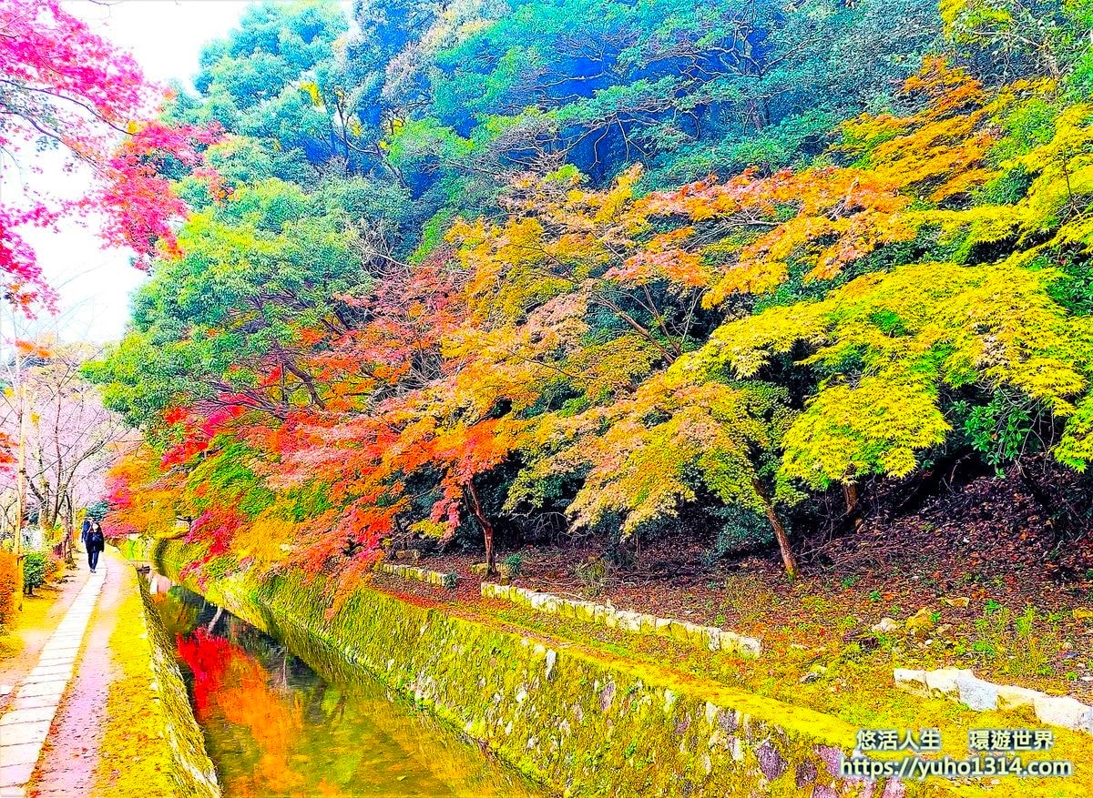 京都賞楓景點 哲學之道
