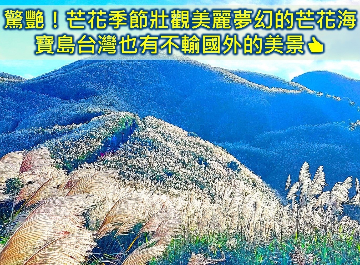 【瑞芳鼻頭角步道一日遊】瑞芳景點 ❤️驚艷!寶島台灣也有不少動人美景 不輸國外! - 第18張圖 半屏山步道 雙北景點推薦 半屏山登山口 芒花季節 無敵海景步道