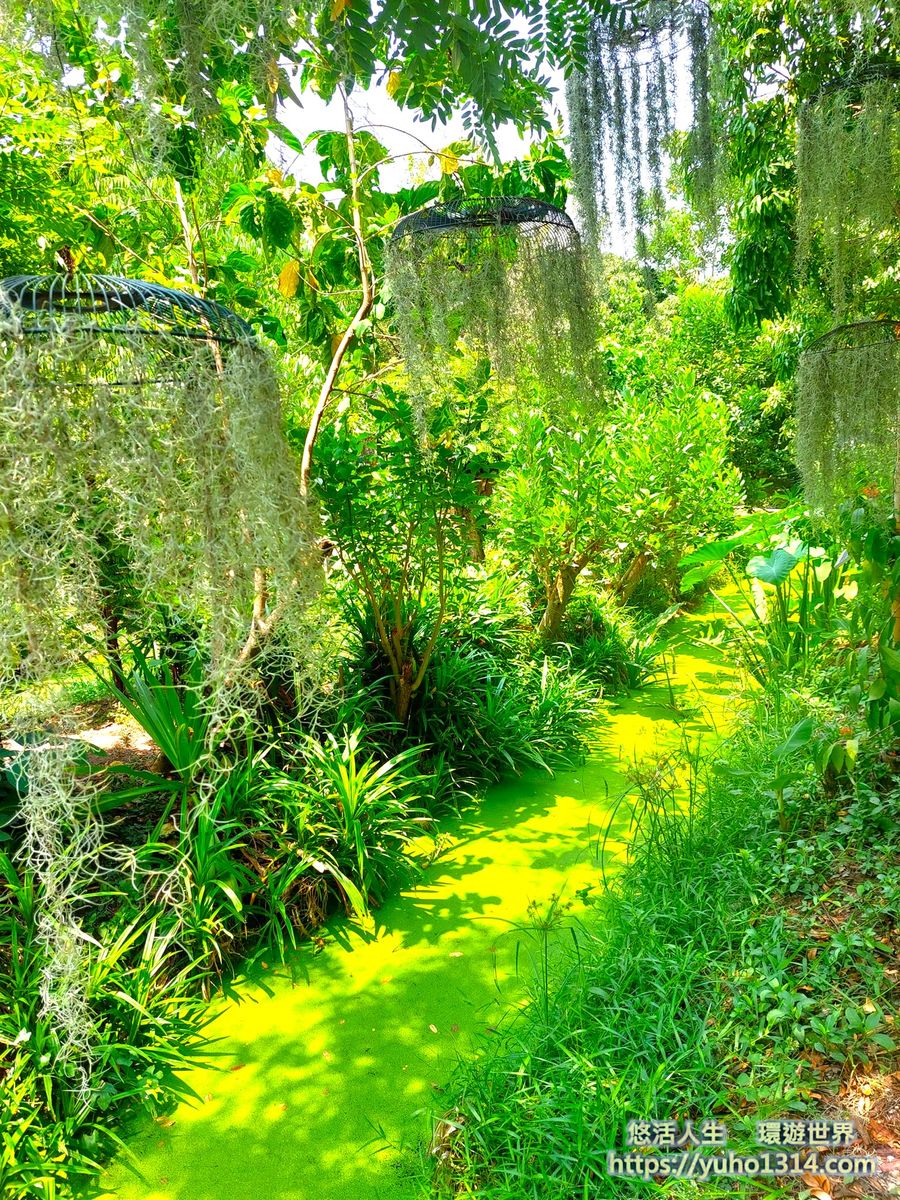 曼谷隱藏景點/曼谷冷門景點❤️泰國100年歷史 ”美麗花園”秘境與特色咖啡廳及餐廳!😍👍 - 第4張圖
