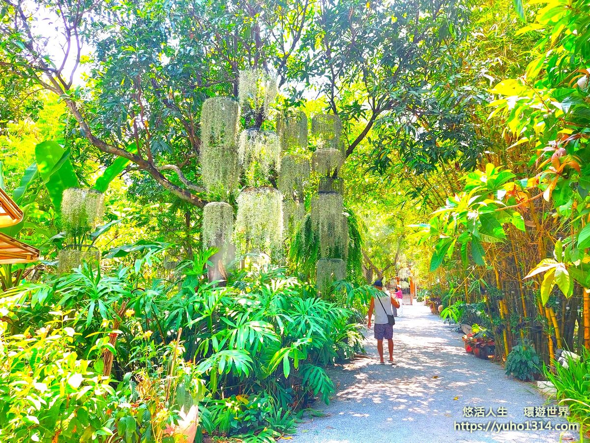 曼谷隱藏景點/曼谷冷門景點❤️泰國100年歷史 ”美麗花園”秘境與特色咖啡廳及餐廳!😍👍 - 第5張圖