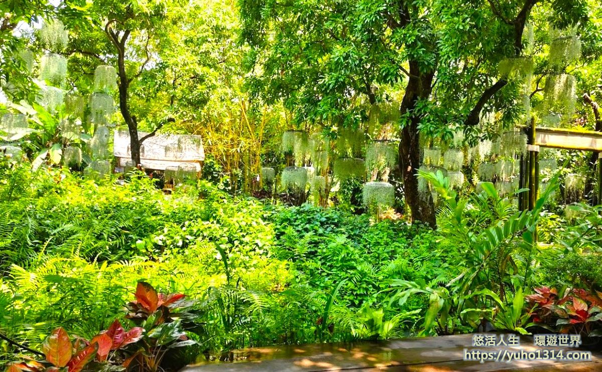 曼谷隱藏景點/曼谷冷門景點❤️泰國100年歷史 ”美麗花園”秘境與特色咖啡廳及餐廳!😍👍 - 第6張圖