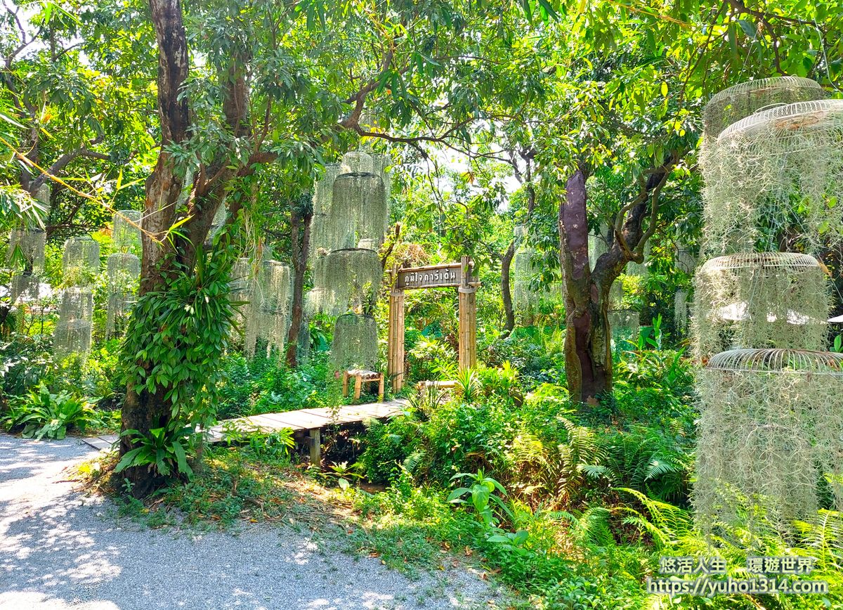 曼谷隱藏景點/曼谷冷門景點❤️泰國100年歷史 ”美麗花園”秘境與特色咖啡廳及餐廳!😍👍 - 第8張圖