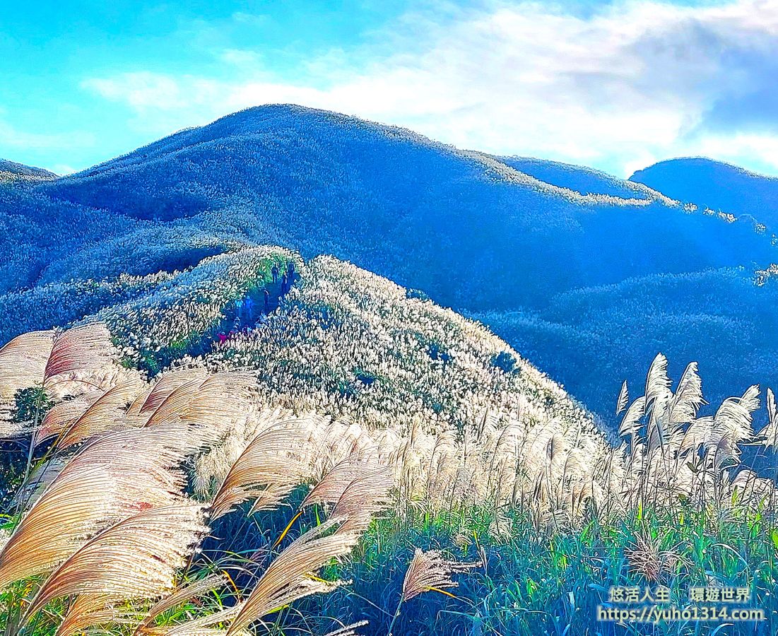 半屏山步道