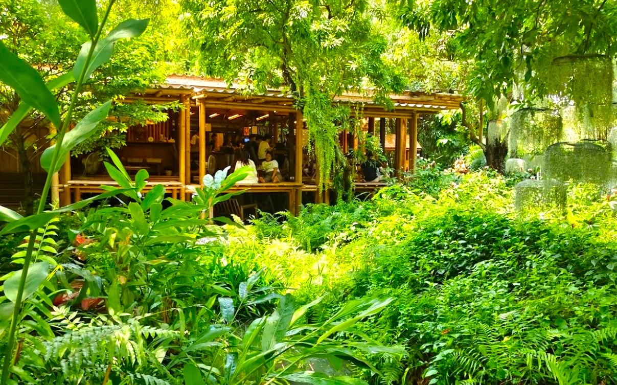曼谷隱藏景點/曼谷冷門景點❤️泰國100年歷史 ”美麗花園”秘境與特色咖啡廳及餐廳!😍👍 - 第12張圖 曼谷近郊秘境 曼谷隱藏景點/曼谷冷門景點