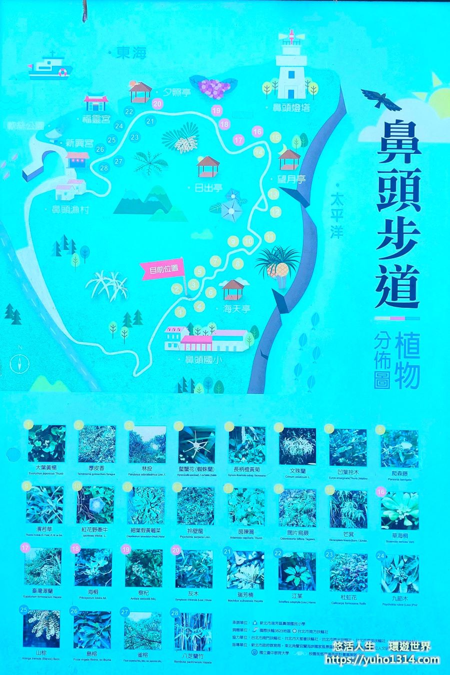 【瑞芳鼻頭角步道一日遊】瑞芳景點 ❤️驚艷!寶島台灣也有不少動人美景 不輸國外! - 第11張圖
