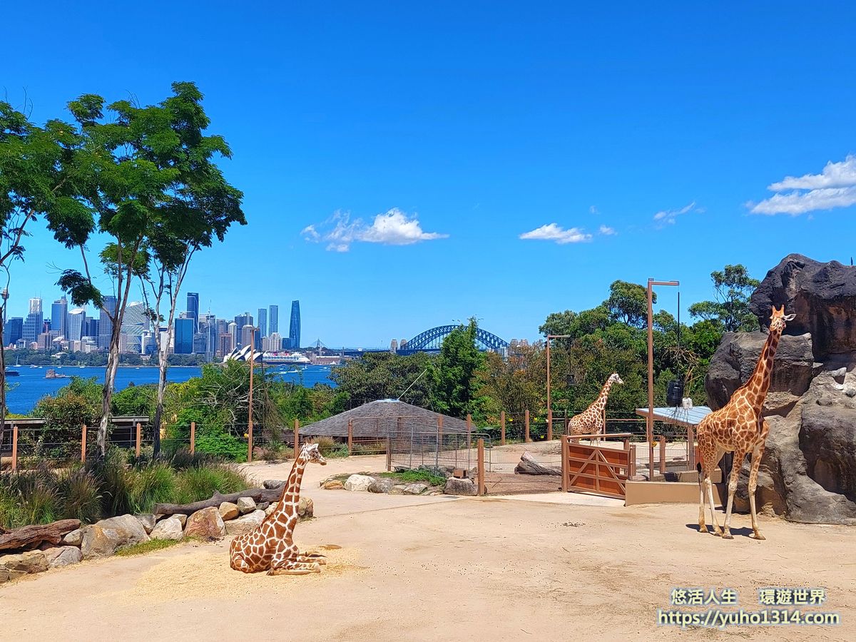 澳洲雪梨塔龍加動物園