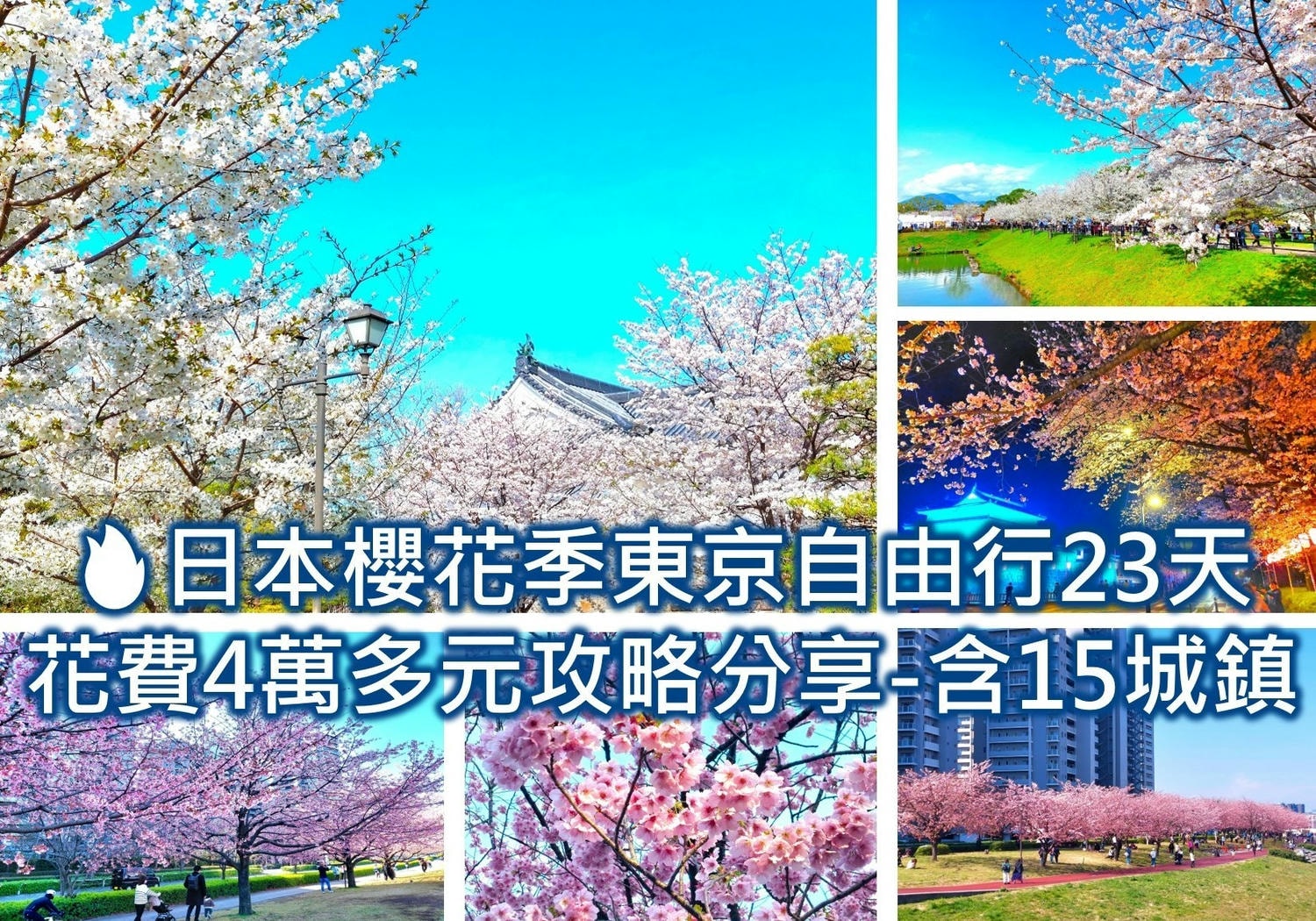 京都櫻花季2025🌸20處日本京都櫻花景點自由行實用資訊分享(下)(含京都賞櫻地圖) - 第127張圖 東京自由行 東京自由行攻略 東京自由行機加酒 日本櫻花季東京自由行 東京賞櫻 東京自由行行程規劃路線、東京自由行交通機票(含東京周遊券)、東京自由行景點(含東京自由行富士山)、東京自由行住宿推薦與省錢實用技巧、東京自由行花費費用支出 (東京自由行預算)、東京櫻花景點(含目黑川櫻花、上野櫻花、新宿御苑櫻花等)、東京自由行注意事項