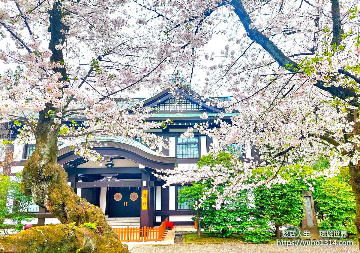 靖國神社櫻花