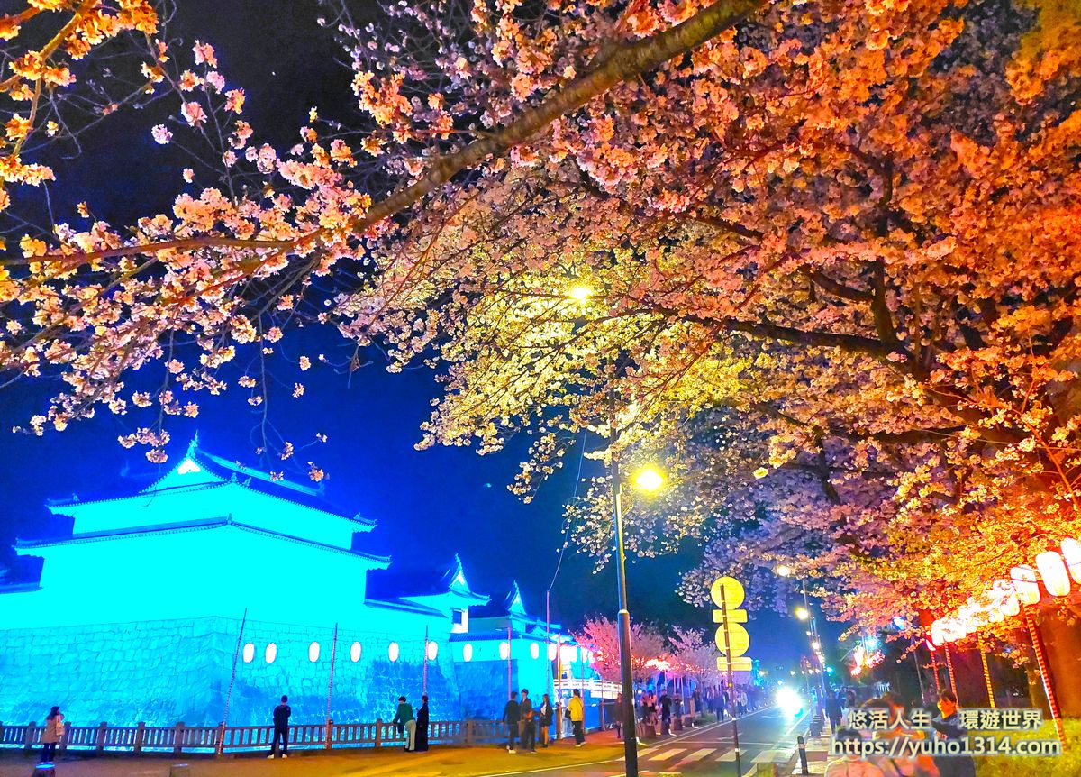 靜岡駿府城公園櫻花