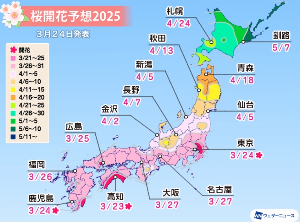 京都櫻花季2025🌸20處日本京都櫻花景點自由行實用資訊分享(下)(含京都賞櫻地圖) - 第1張圖 2025日本東京櫻花開花預測