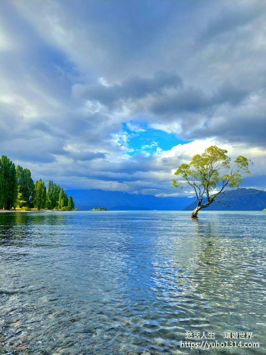 紐西蘭/瓦納卡Wanaka/ ThatWanakaTree