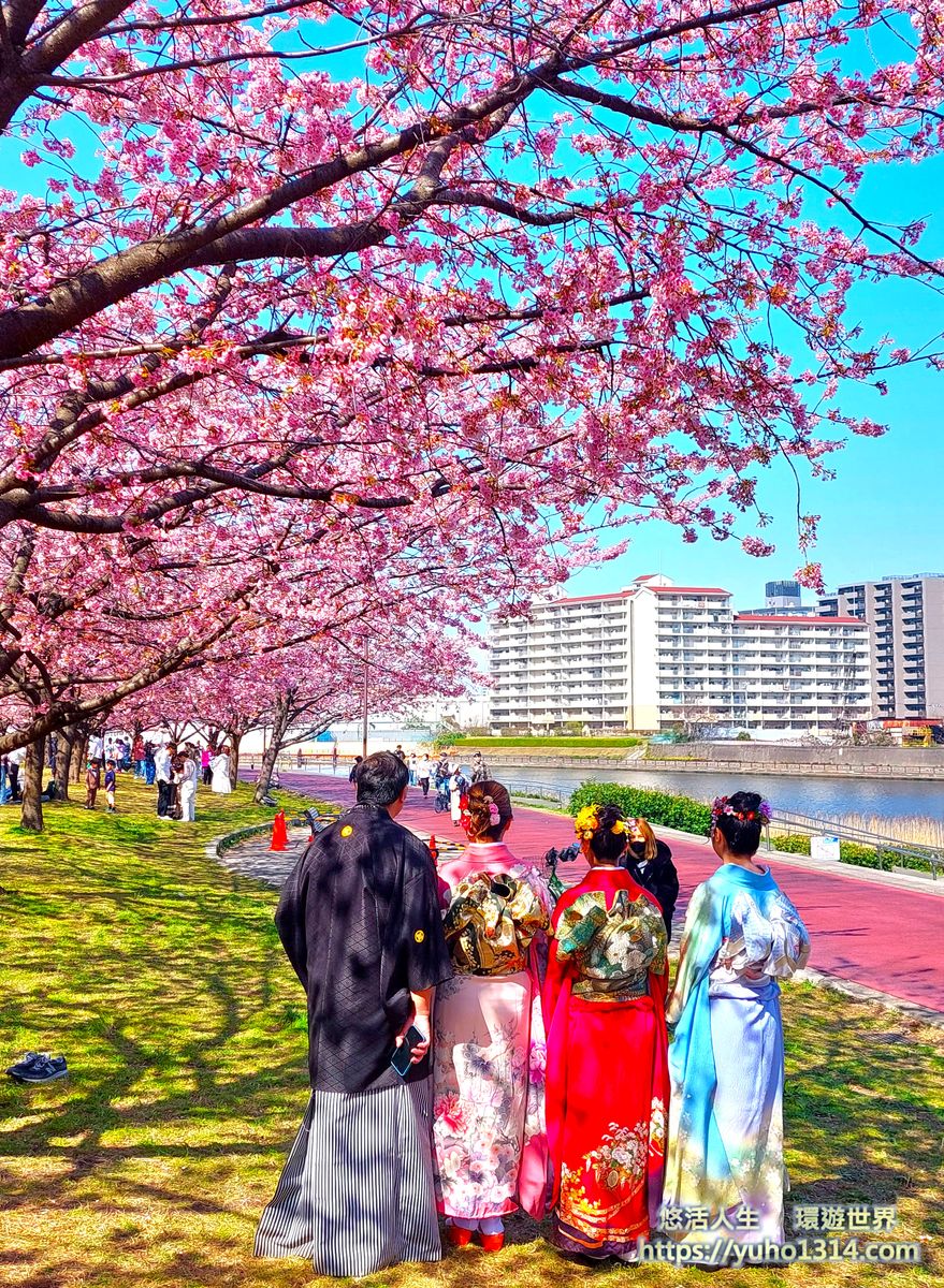 東京櫻花 東京賞櫻景點推薦🌸 早開且美麗櫻花品種地點分享 - 第8張圖 早開東京賞櫻景點 東京早開櫻花景點 東京河津櫻 汐入公園