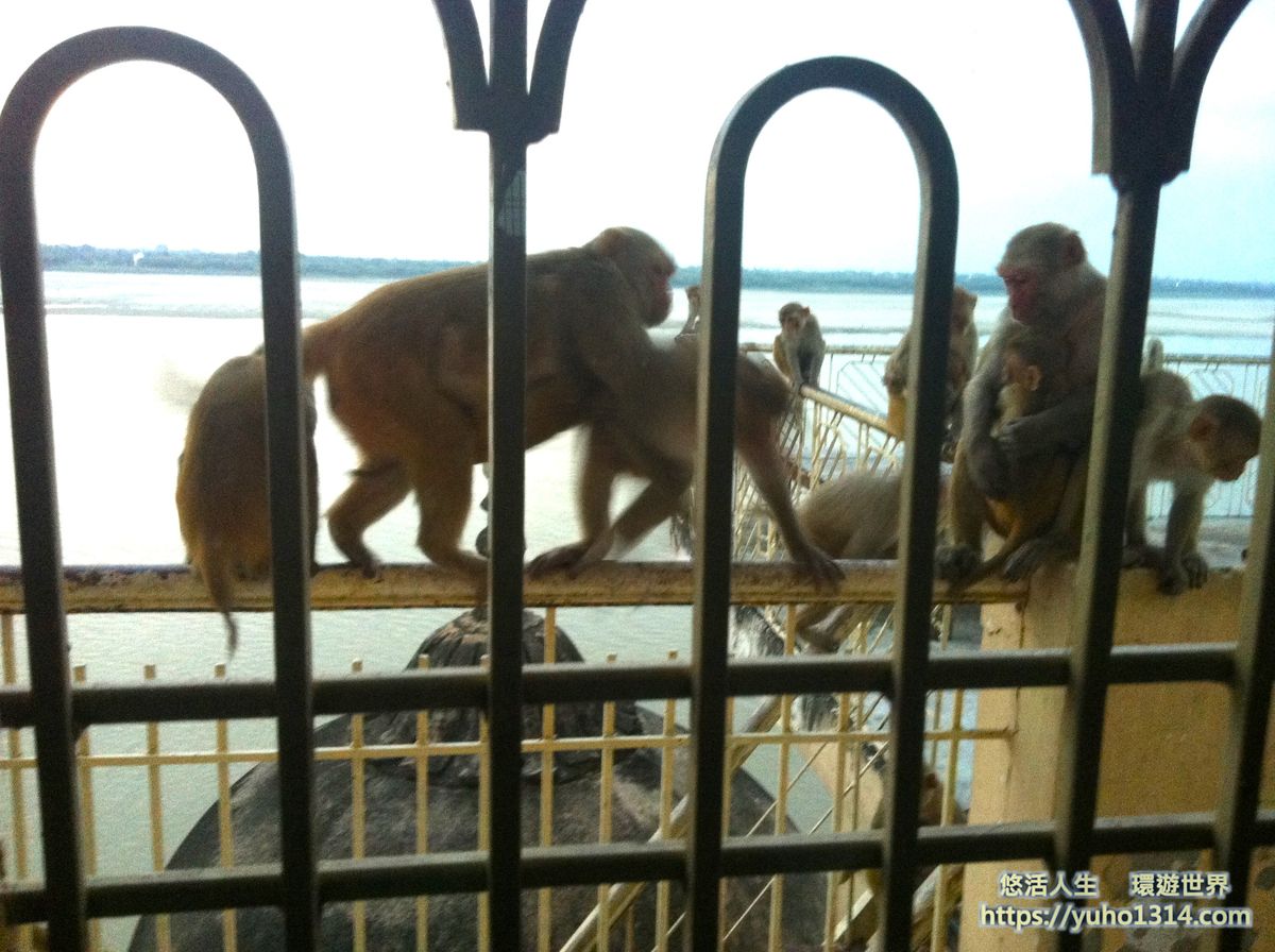 印度旅遊注意事項 印度旅遊心得 印度自由行反詐騙【印度受騙記之2】 - 第9張圖