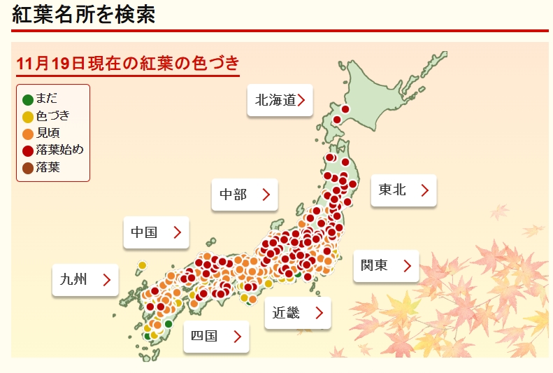 大阪楓葉2025🍁5處絕美大阪賞楓景點與大阪楓葉時間預測! - 第1張圖 大阪楓葉2025 大阪紅葉2025 大阪賞楓景點 大阪賞葉2025 大阪賞楓