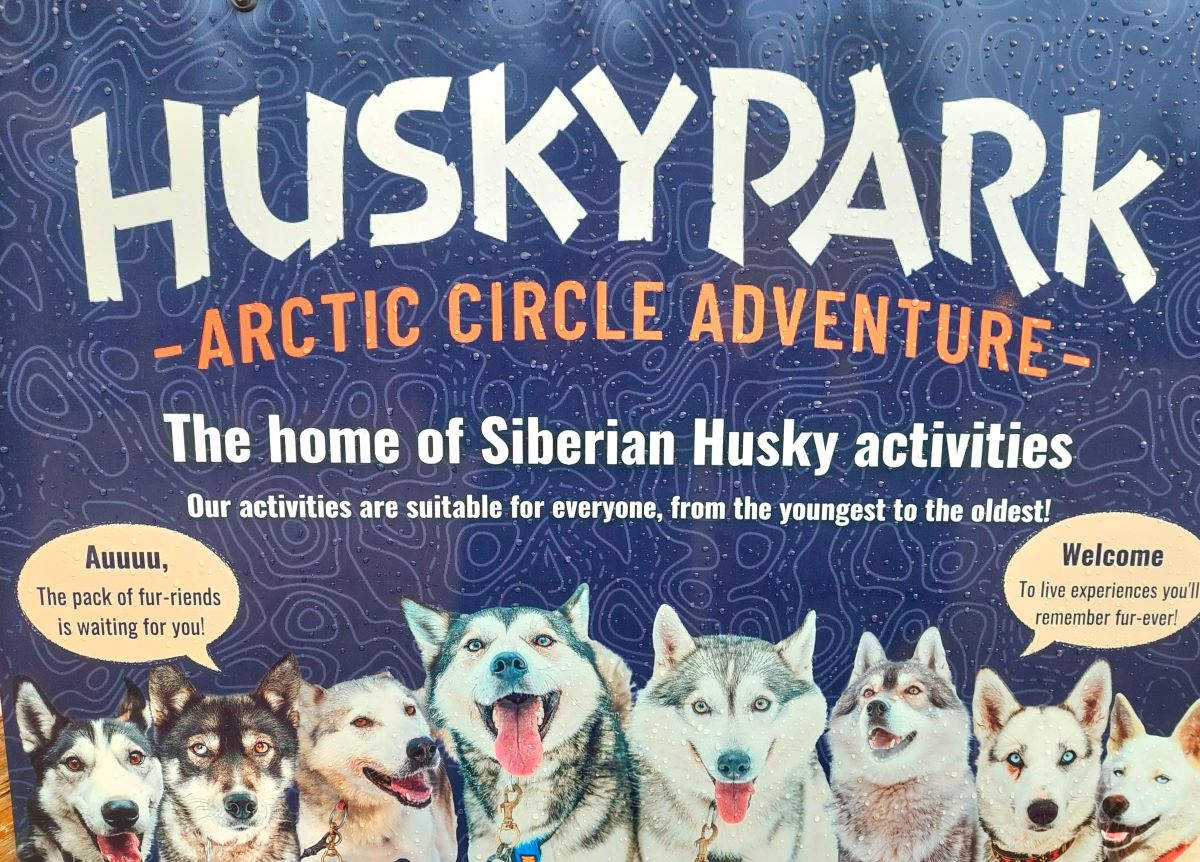 聖誕老人村哈士奇雪橇體驗