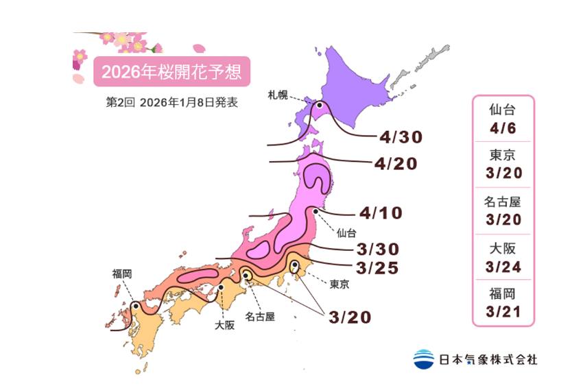 【2026最新】東京私房景點推薦:1/8櫻花預測更新🌸10個避開人潮秘境 (附10萬人熱門Google地圖) - 第1張圖 2026東京櫻花時間開花預測