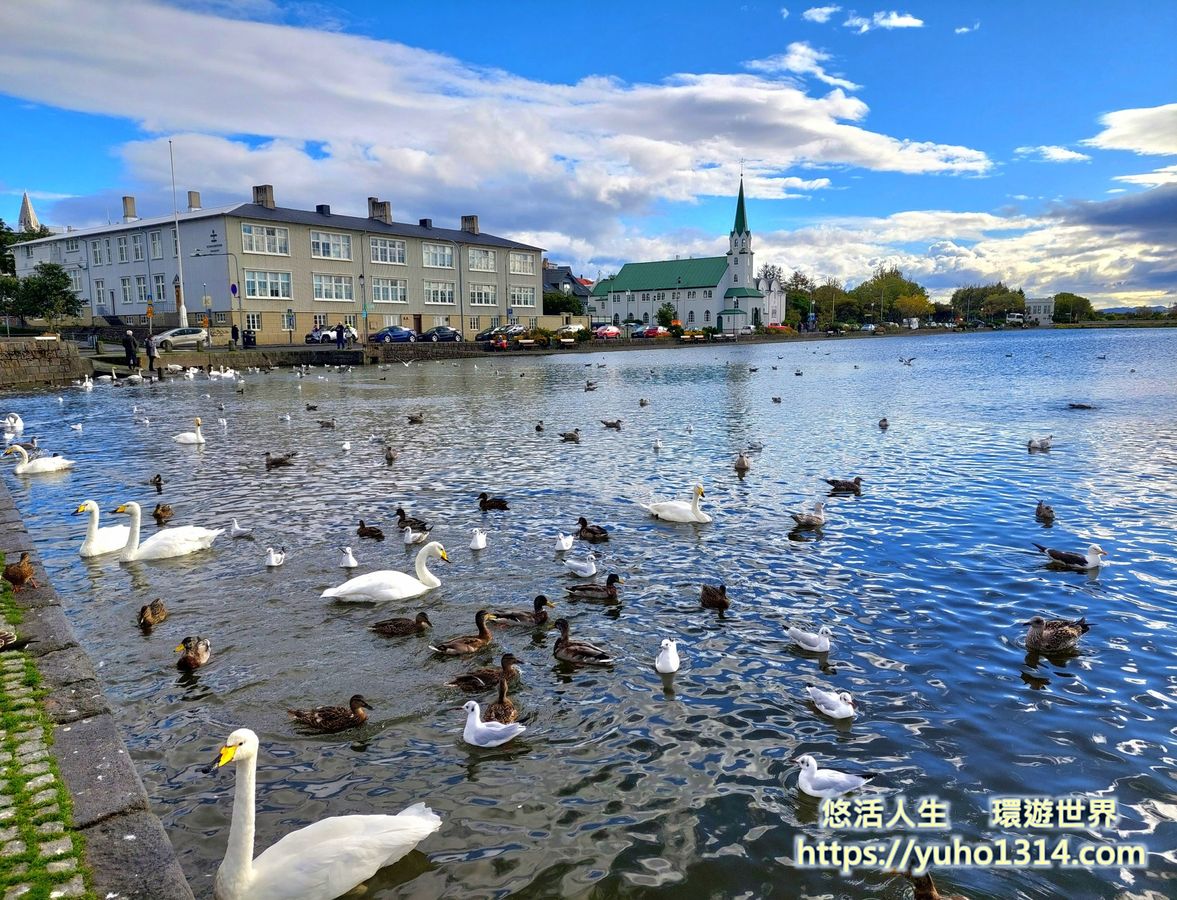 冰島Tjörnin 托寧湖 